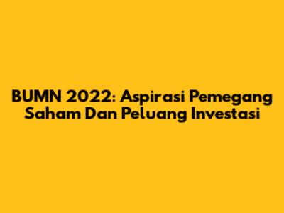 **BUMN 2022: Aspirasi Pemegang Saham Dan Peluang Investasi**