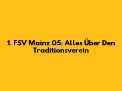 1. FSV Mainz 05: Alles Über Den Traditionsverein