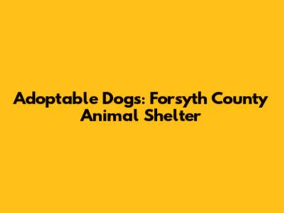 Adoptable Dogs: Forsyth County Animal Shelter