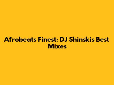 Afrobeat's Finest: DJ Shinski's Best Mixes