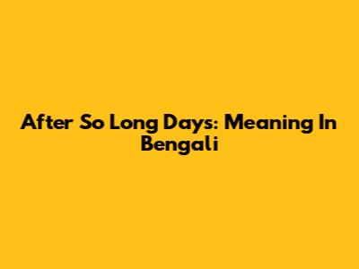 After So Long Days: Meaning In Bengali