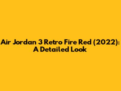 Air Jordan 3 Retro Fire Red (2022): A Detailed Look