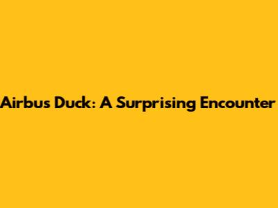 Airbus Duck: A Surprising Encounter