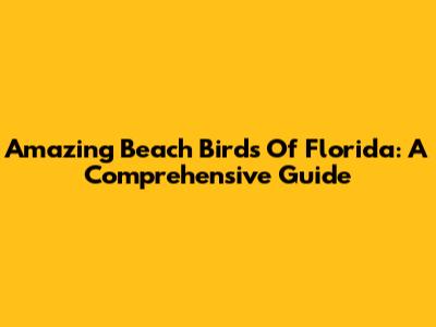 Amazing Beach Birds Of Florida: A Comprehensive Guide