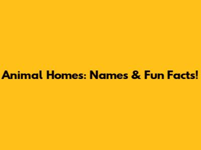 Animal Homes: Names & Fun Facts!