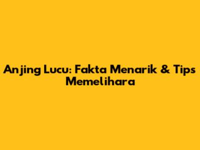 Anjing Lucu: Fakta Menarik & Tips Memelihara