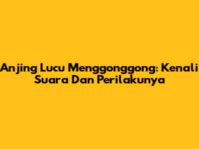 Anjing Lucu Menggonggong: Kenali Suara Dan Perilakunya