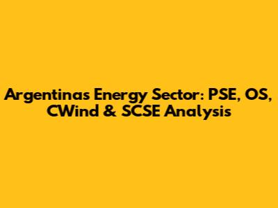 Argentina's Energy Sector: PSE, OS, CWind & SCSE Analysis