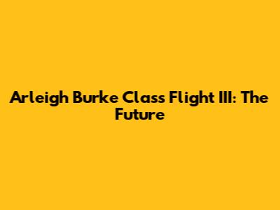 Arleigh Burke Class Flight III: The Future