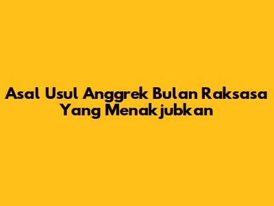 Asal Usul Anggrek Bulan Raksasa Yang Menakjubkan