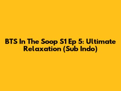 BTS In The Soop S1 Ep 5: Ultimate Relaxation (Sub Indo)