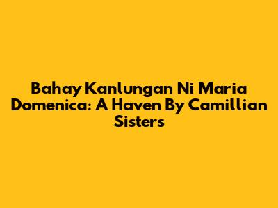 Bahay Kanlungan Ni Maria Domenica: A Haven By Camillian Sisters
