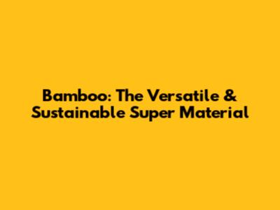 Bamboo: The Versatile & Sustainable Super Material