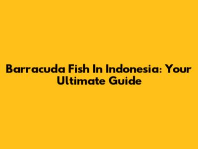 Barracuda Fish In Indonesia: Your Ultimate Guide