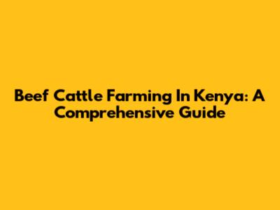 Beef Cattle Farming In Kenya: A Comprehensive Guide