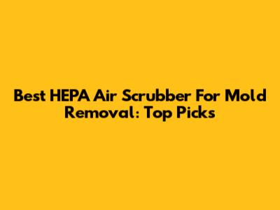 Best HEPA Air Scrubber For Mold Removal: Top Picks