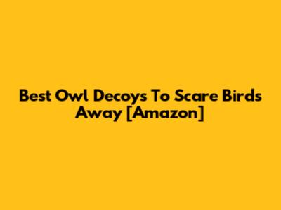 Best Owl Decoys To Scare Birds Away [Amazon]