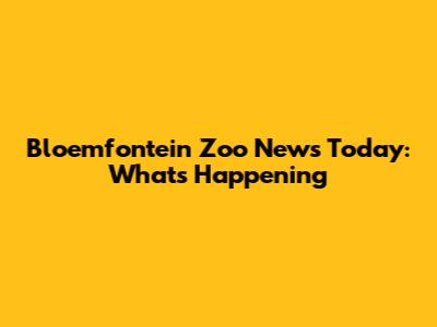 Bloemfontein Zoo News Today: What's Happening