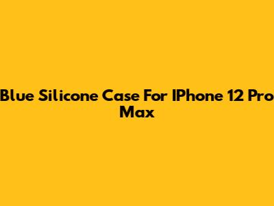 Blue Silicone Case For IPhone 12 Pro Max