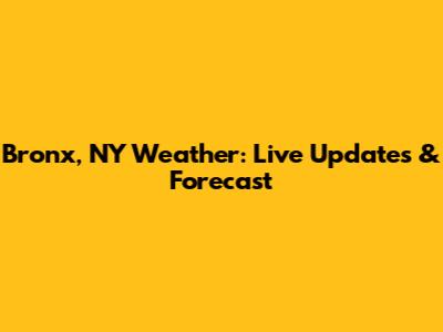 Bronx, NY Weather: Live Updates & Forecast