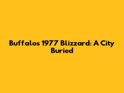 Buffalo's 1977 Blizzard: A City Buried