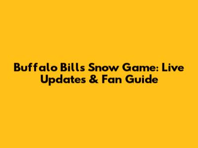 Buffalo Bills Snow Game: Live Updates & Fan Guide