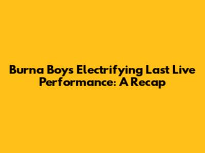 Burna Boy's Electrifying Last Live Performance: A Recap