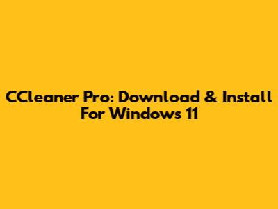 CCleaner Pro: Download & Install For Windows 11