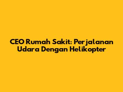 CEO Rumah Sakit: Perjalanan Udara Dengan Helikopter