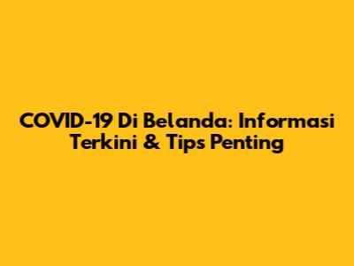 COVID-19 Di Belanda: Informasi Terkini & Tips Penting