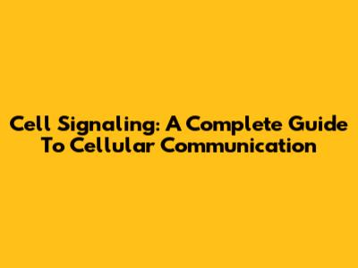 Cell Signaling: A Complete Guide To Cellular Communication