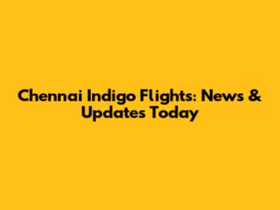 Chennai Indigo Flights: News & Updates Today