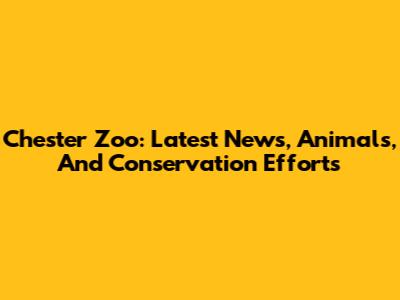 Chester Zoo: Latest News, Animals, And Conservation Efforts