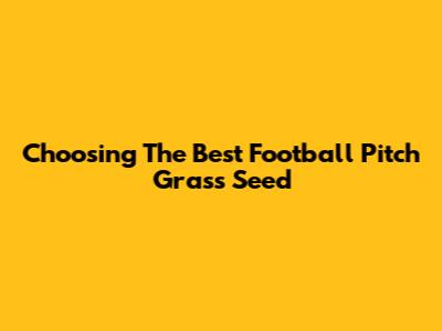 Choosing The Best Football Pitch Grass Seed