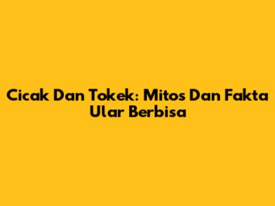 Cicak Dan Tokek: Mitos Dan Fakta Ular Berbisa