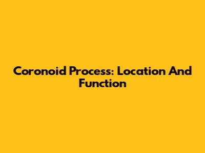 Coronoid Process: Location And Function