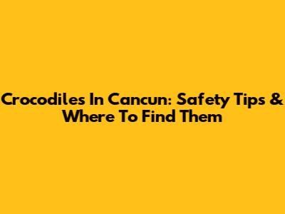 Crocodiles In Cancun: Safety Tips & Where To Find Them