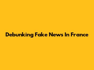 Debunking Fake News In France