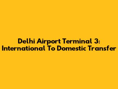 Delhi Airport Terminal 3: International To Domestic Transfer