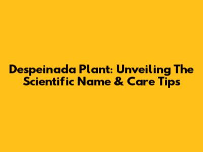 Despeinada Plant: Unveiling The Scientific Name & Care Tips