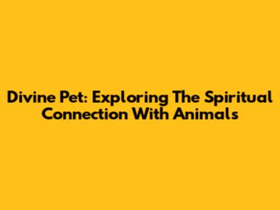 Divine Pet: Exploring The Spiritual Connection With Animals