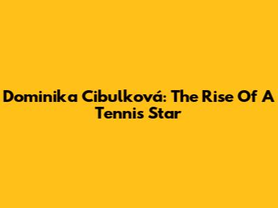 Dominika Cibulková: The Rise Of A Tennis Star