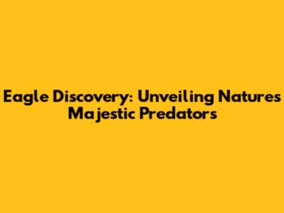 Eagle Discovery: Unveiling Nature's Majestic Predators