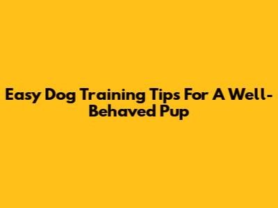 Easy Dog Training Tips For A Well-Behaved Pup