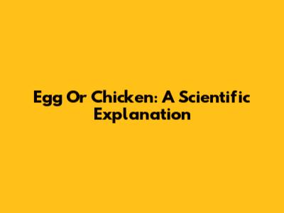 Egg Or Chicken: A Scientific Explanation