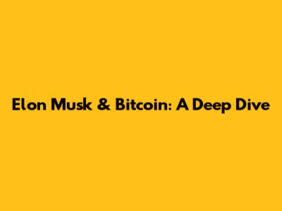 Elon Musk & Bitcoin: A Deep Dive
