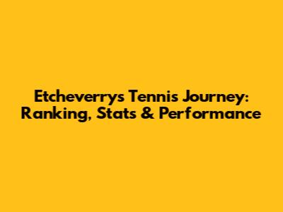 Etcheverry's Tennis Journey: Ranking, Stats & Performance