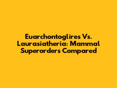 Euarchontoglires Vs. Laurasiatheria: Mammal Superorders Compared