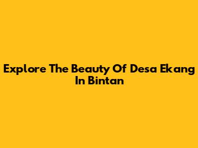 Explore The Beauty Of Desa Ekang In Bintan