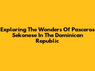 Exploring The Wonders Of Pasceros Sekonese In The Dominican Republic